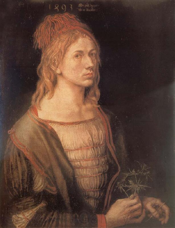 Albrecht Durer Self-Portrait with sea holly Norge oil painting art